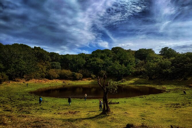 West Madeira Island Guided Tour & Fanal Mystic Forest - Why West Madeira Works So Well in One Day