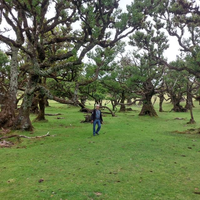 West Madeira:, Laurel Forest, Waterfall, Rock Pools, Walk - The Veil of the Bride viewpoint at Seixal: waterfall drama with short time