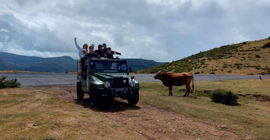 West Safari - The natural pool Porto Moniz Open Roof Jeeps - Key highlights I’d prioritize