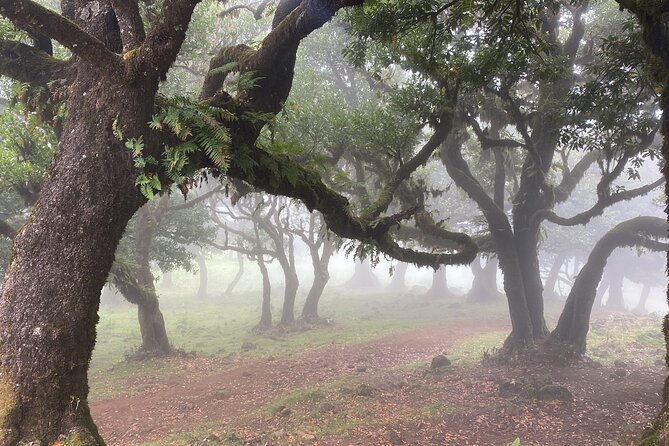 West Side Private Full Day Tours around Madeira Island - What to Bring and How to Set Yourself Up for a Great Day