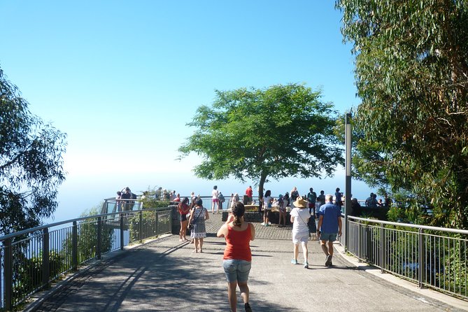 West Tour - Stop 3: Ribeira Brava viewpoint and banana country