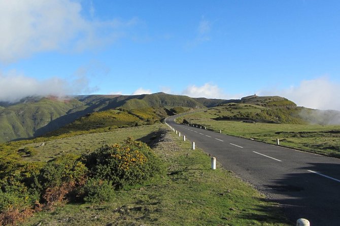 West Tour-Fanal Forest & Porto Moniz Natural Pools Small Groups - Stop 2: Ribeira Brava Farmers Market Stop—Local Life in One Hour