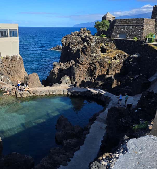 West Tour Madeira – Jeep tour through Fanal, Seixal, Porto Moniz and more - Fanal Forest and the Laurel Forest UNESCO walk