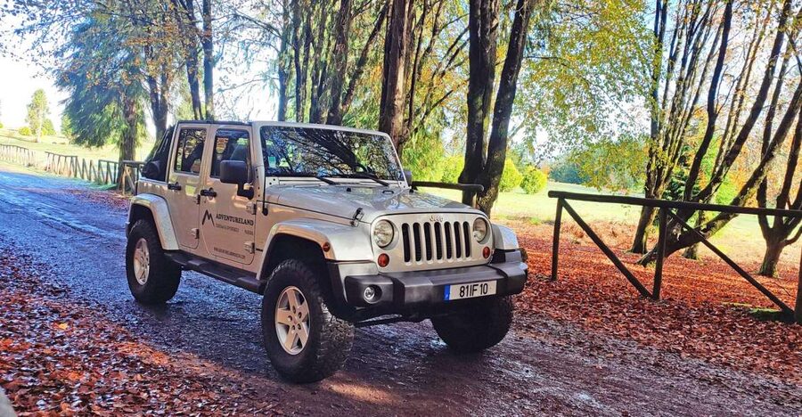 West tour - Porto Moniz VIP 4X4 Wrangler Tour 8h trip - The 4x4 Wrangler format on Madeira: why it changes the day
