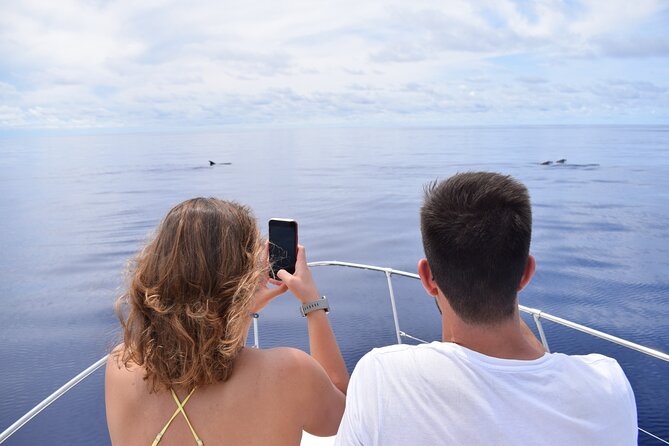 Whale and Dolphin Watching Tour in Madeira - Getting To Calheta Marina: On Tales, Yacht Miranda, and a Quick Safety Talk