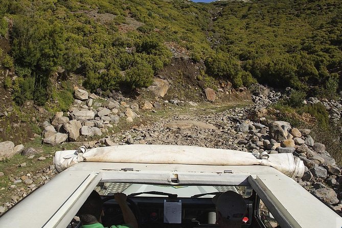 Wine + Dolphin Watching - Full Day- Shared Tour - Jeep and north Madeira: Serra d’Agua to São Vicente without the tourist shuffle