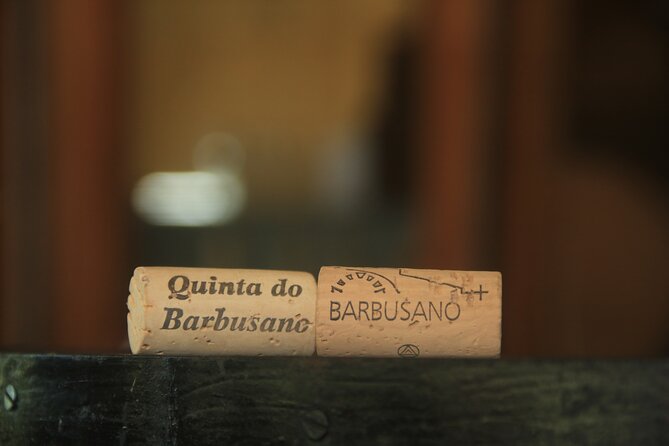 Wine taste, 4x4 Jeep Adventure and Cabo Girão Skywalk - Serra de Água Encumeada: cooler forest air and valley views