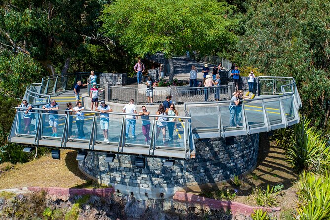 Wine tasting and Jeep Adventure in Madeira's Majestic Countryside - A 3.5-hour mix of wine, viewpoints, and back roads