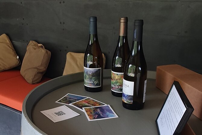 Wine Tasting Experience in Boaventura, Madeira North Coast - Meeting Up in Boaventura and Getting the Timing Right