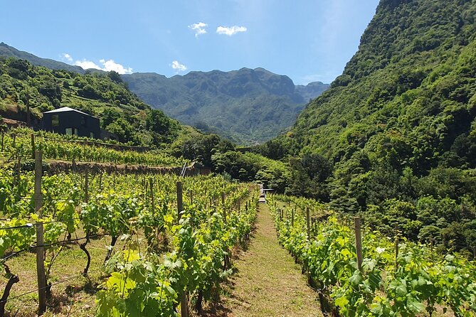 Wine Tasting Experience in Boaventura, Madeira North Coast - Two Wines, One Relaxed Tasting: Terra Bona and French Oak Heritage
