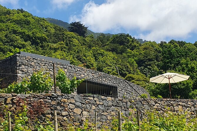 Wine Tasting Experience in Boaventura, Madeira North Coast - Homemade Bites That Actually Match the Wine