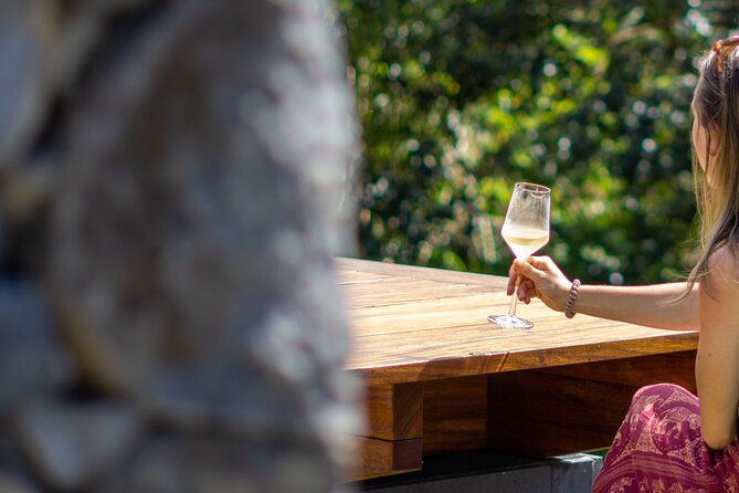 Wine Tasting Experience in Boaventura, Madeira North Coast - Price and Value: What $54.06 Buys You in Real Terms