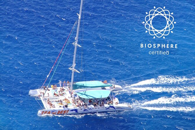 Wines Tasting Experience and Skywalk with Dolphin Watching - Cabo Girão Skywalk at 589 Meters: What to Expect and How to Plan