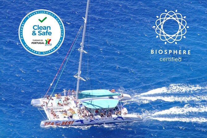 Wines Tasting Experience and Skywalk with Dolphin Watching - Dolphin & Whale Watching on a Catamaran: Excitement Level vs. Onboard Talk