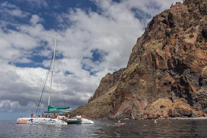 Wines Tasting Experience and Skywalk with Dolphin Watching - Price and Value Check: Is $130.95 Worth It?